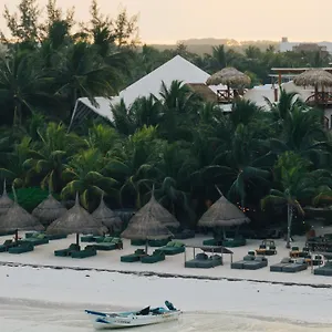 https://hotelito-casa-las-tortugas.quintano-roohotels.com
